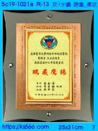 5c19-1021a_綠+水鑽,水晶琉璃獎牌獎座獎盃製作推薦,台北,新北,基隆,宜蘭,桃圓,新竹,台中,台南,高雄