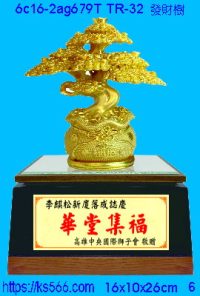6c16-2ag679t_發財樹,水晶琉璃獎牌製作推薦,台北,新北,基隆,宜蘭,桃圓,新竹,台中,台南,高雄