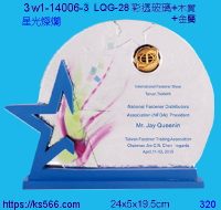 3w1-14006-3_星光燦爛,水晶琉璃獎牌製作推薦,台北,新北,基隆,宜蘭,桃圓,新竹,台中,台南,高雄