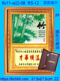 6c11-w22-08_節節高升,水晶琉璃獎牌製作推薦,台北,新北,基隆,宜蘭,桃圓,新竹,台中,台南,高雄