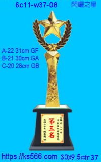 6c11-w37-08_閃耀之星,2000,2100,2200元,水晶琉璃獎牌製作推薦,台北,新北,基隆,宜蘭,桃圓,新竹,台中,台南,高雄