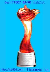 6w1-71007_生命之火,水晶琉璃獎牌製作推薦,台北,新北,基隆,宜蘭,桃圓,新竹,台中,台南,高雄