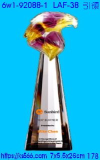 6w1-92088-1_引領,水晶琉璃獎牌製作推薦,台北,新北,基隆,宜蘭,桃圓,新竹,台中,台南,高雄