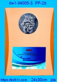 6w1-94005-3_木質+金銀箔,水晶琉璃獎牌製作推薦,台北,新北,基隆,宜蘭,桃圓,新竹,台中,台南,高雄