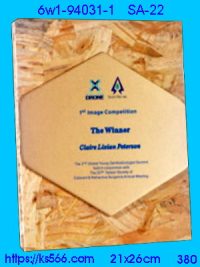 6w1-94031-1_木質彩噴,水晶琉璃獎牌製作推薦,台北,新北,基隆,宜蘭,桃圓,新竹,台中,台南,高雄