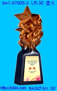 6w1-97005-3_星光,水晶琉璃獎牌製作推薦,台北,新北,基隆,宜蘭,桃圓,新竹,台中,台南,高雄