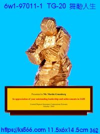 6w1-97011-1_舞動人生,水晶琉璃獎牌製作推薦,台北,新北,基隆,宜蘭,桃圓,新竹,台中,台南,高雄