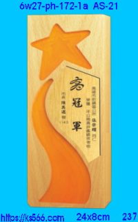 6w27-ph-172-1a_星牌,水晶琉璃獎牌製作推薦,台北,新北,基隆,宜蘭,桃圓,新竹,台中,台南,高雄