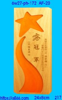 6w27-ph-172_星牌,水晶琉璃獎牌製作推薦,台北,新北,基隆,宜蘭,桃圓,新竹,台中,台南,高雄