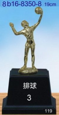 8b16-8350-8_排球,水晶琉璃獎盃獎牌獎杯製作推薦,台北,新北,基隆,宜蘭,桃圓,新竹,台中,台南,高雄,台東.花蓮,澎湖